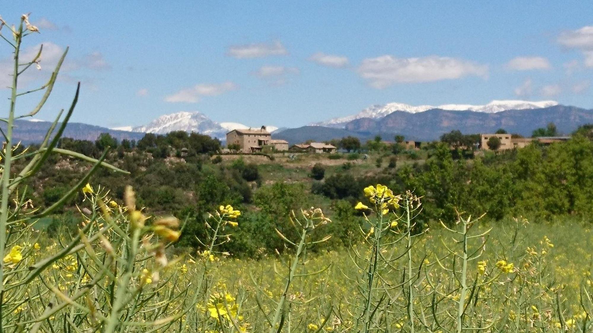 Casa Rural Sant Grau Turismo Saludable Y Responsable Solsona Buitenkant foto